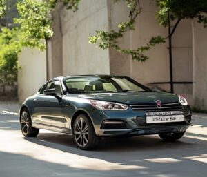 Acheter une voiture Corse sur Le Bon Coin : guide complet